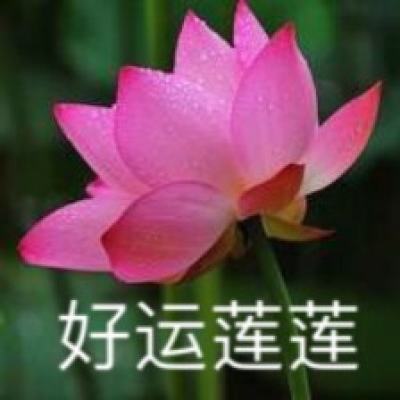 喜剧影片“暗战”春节档丨消费跃龙门